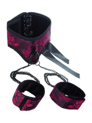 Posture Collar with Cuffs Black