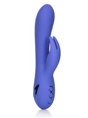 Beverly Hills Bunny Purple