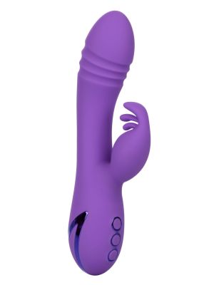 West Coast Wave Rider Purple