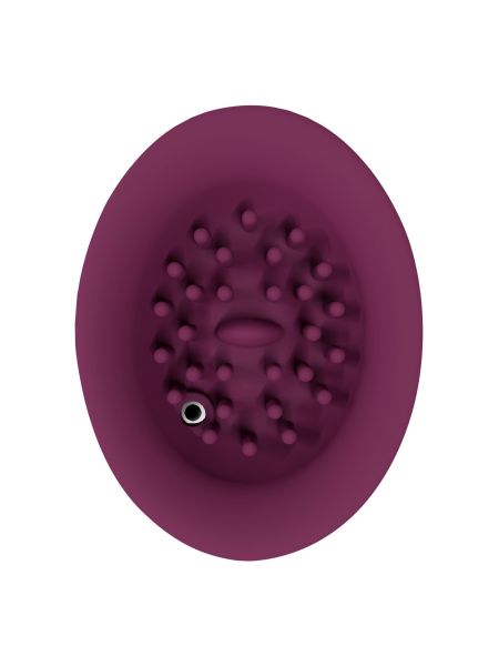 Twitch 3 - Rechargeable Vibrator & Suction - Silicone - 10 Speed - Burgundy - 5