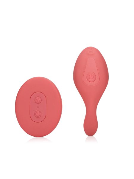 Panty Vibrator with Remote Control