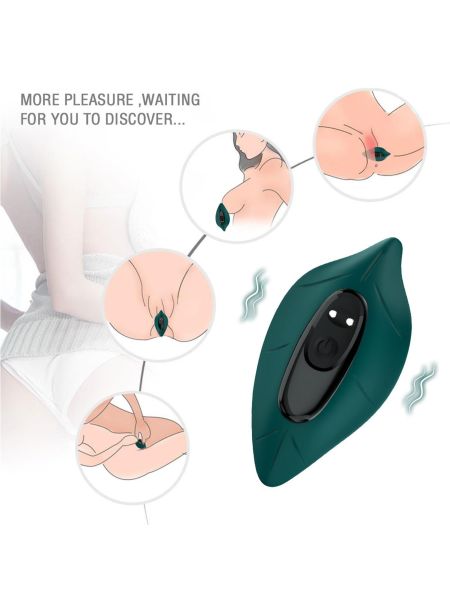 Leavess Green, 9 vibration functions - 6