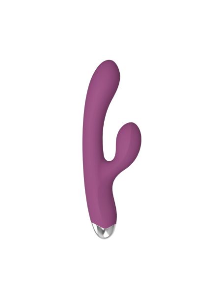 Dual rabbit vibrator