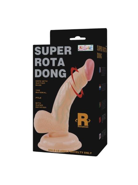 BAILE- SUPER ROTA DONG Rotation - 7