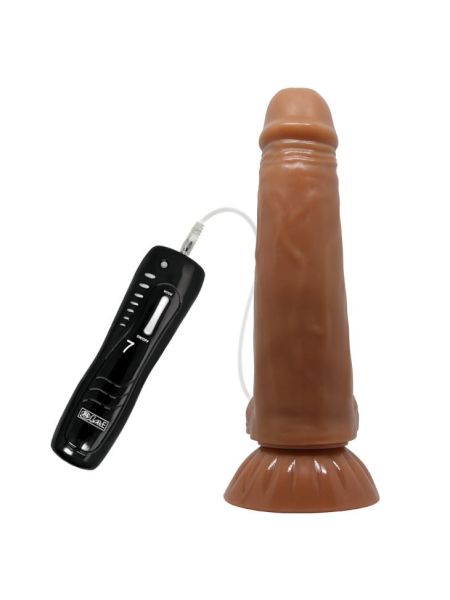 BAILE - Easton , 7 rotation functions Suction base 7 thrusting settings - 4