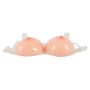 Breasts with Straps - 4