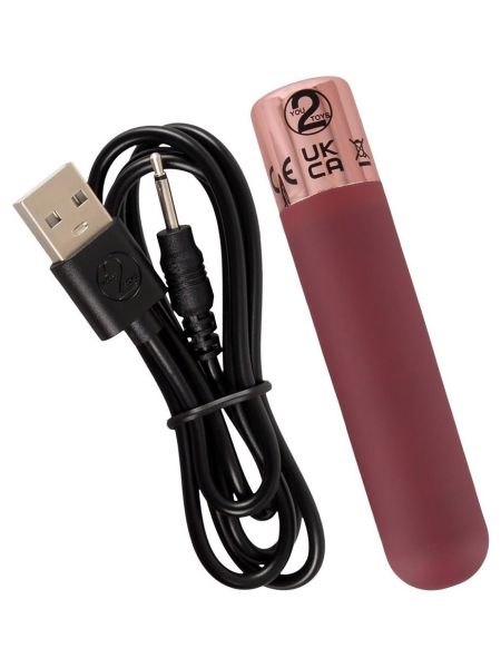 Bullet rechargeable - 8