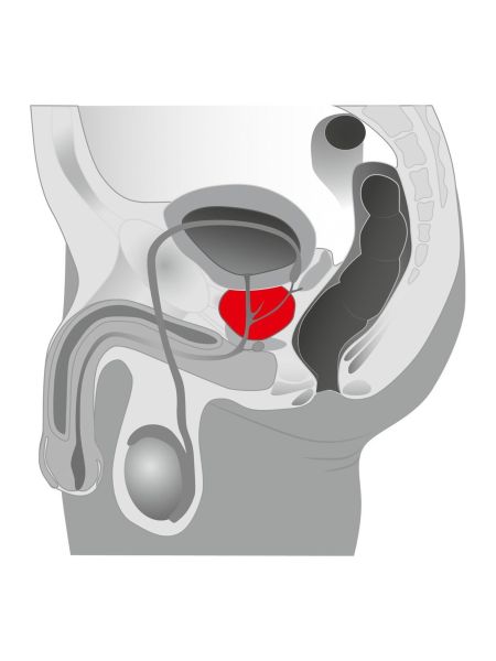 Plug/prostata-Joystick Prostata Booster, black - 3