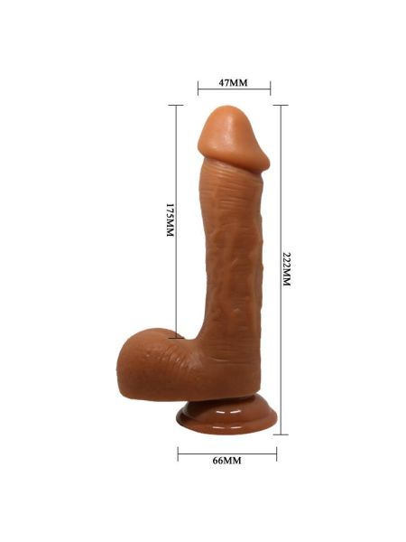 BAILE - JOHNSON, Suction base - 7