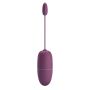 PRETTY LOVE - Nymph, 12 vibration functions Mobile APP Long-distance Control, ABS, 1 AAA battery - 18