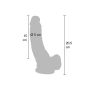Dildo 8 inch with Balls Light skin tone - 4
