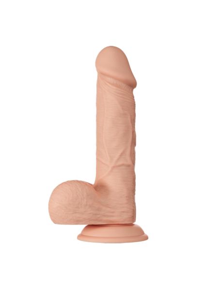 BAILE-Beautiful Bahamut 8.5"""" - 6